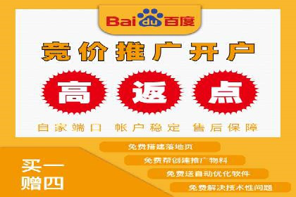 关键词竞价排名策略案例分析